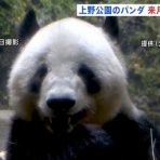 たいむちゃんねる