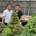 アジアから未来の盆栽界の有望株❗️