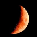 2026　2026　岡山県　岡山市の自宅の空　🌙月