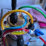 リ楽ックスして海水魚