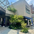 「花月嵐」の「すみれ」インスパイア　下北沢「札幌味噌ラーメン 下北 岳」にて 味噌ラーメン