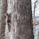 久しぶりのご対面・・・