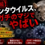 【悲報】コロナの次はハンタウイルス？ネット民ざわつく…