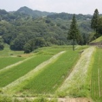 関東の意外と田舎感は異常
