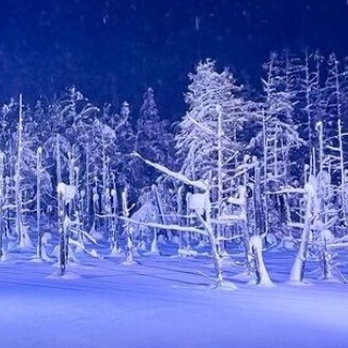 masaの介護福祉情報裏板