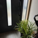 乾燥機を使うようになったし・・シンピジュームも玄関に入れました