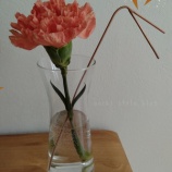 『簡単に切り花を長持ちさせる方法』の画像