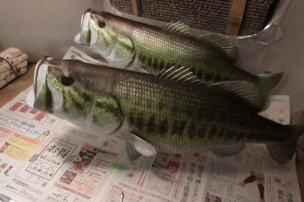 魚の模型制作しています。 fish craft REAL