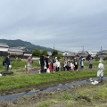 2026年度綿の栽培記録：八十八夜。綿の種まき