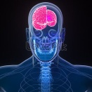 Xユーザー「丹下右膳」(@MrFumitan)のプロフィールおよび投稿活動の徹底分析