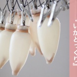 『【工場見学】姫津・今井茂助商店名物『いかとっくり』【ふるさと納税:江龍田】』の画像