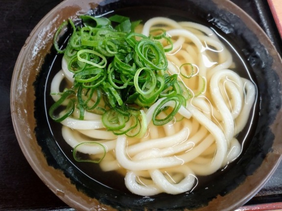 香川にうどん旅行ってどうなの？🍜🥺