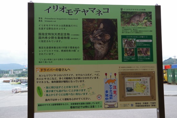 八重山諸島キャンプ3 西表島 17 ママぃ 沖縄から東京へ