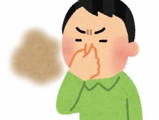 【画像】隅田川、くさそうｗｗｗｗｗｗｗｗｗｗｗｗｗｗｗｗ