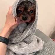 あと何回？って考えちゃった…