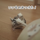 クッション好きなクスィー