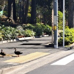 2100年まで生きられるかどうかを検証！！