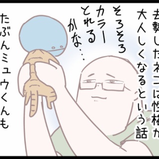 ネコ飼いの飼いネコまんが ねこボイ