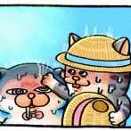 【メロとタビ】ちょっと涼みに