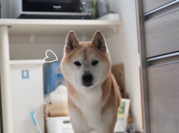 時が経つのは…