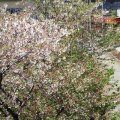 EF510¥«¥â¥ì¤ò¸«¤ë¡Á¤½¤Î94