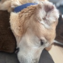 ナデナデロンさん。2026.2.5.