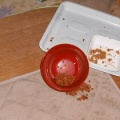 猫に小判を与えたら。 埋蔵金：千九百弐拾弐両　飯ぃすらぁ口に合わへんかぁ・・・。