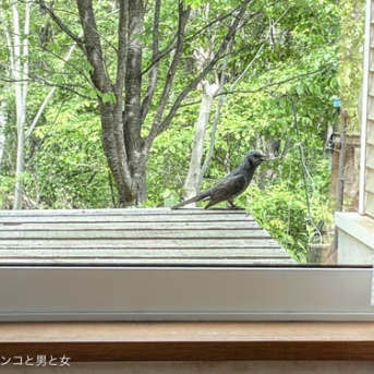 食べ応え