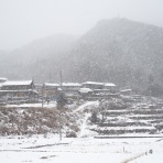 （ ﾟ毒ﾟ）< しんどい。