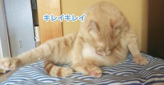 フォトアプリの罠（動画編）