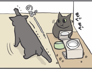省エネすぎる猫