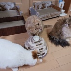 広島BayStyle（スミちゃんの釣り日記）