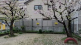 ワイ将、公園の遊具で遊んでたら子供から追い出され涙目敗走