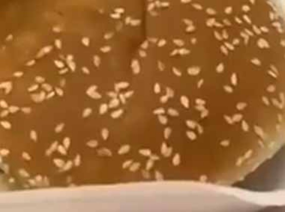 ハンバーガーで１番おいしいのはここだよね。つんつんつん♪ → 器用なハトはこうします…