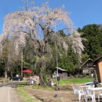 吉川タイムズonline