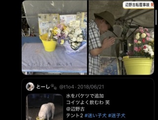 【悲報】サヨクさん、辺野古で死んだ女子生徒に「犬の水飲みバケツ」で献花して炎上
