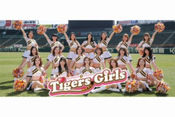 レア　阪神タイガース　プロ野球選手実使用　バット　プロ野球　NPB 白　ZETT 木製バット 阪神タイガース 坂克彦 実使用 ローリングス社製
