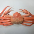 【こめお】🦀ラーメン食中毒事件、1歳児も入院していた