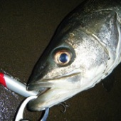 ありがとう坂東太郎２０１４年秋の陣　⑦