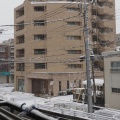 雪は降る・・・