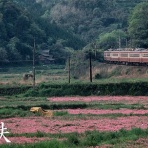 G鉄グラフィティ