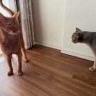 クネクネ甘えん坊ひめちゃん