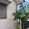 ご近所さんの話