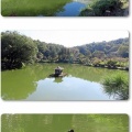 薬師池公園
