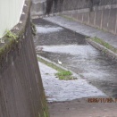 高井戸：テニススクール（２コマ）