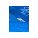 診断士から社長への転身