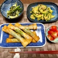 おつまみ春巻き