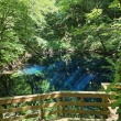 東北旅行Part2