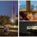 シェビーズのブログ