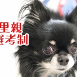 『「里親選考制」について』の画像